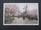 Japan 1914 AK View Of Cherry Tree Miyukisaka Mit 4 Sondermarken Mit Violettem Sonderstempel - Briefe U. Dokumente