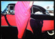 ► AUTOMOBILE US 50s -    Foxy Lady By Cheyco Leidmann - American Roadside