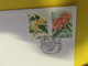 (X 14 A) China FDC Cover - Flowers  (2002) - Used Stamps