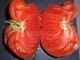 30 Graines Tomates RUSSE BIO - Andere & Zonder Classificatie