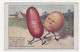 AGRICULTURE - PUBLICITÉ -  POTASSE D'ALSACE - ILLUSTRATEUR -  LA POMME DE TERRE PROFITE TOUJOURS...CACHET SOCIÉTÉ TOULON - Cultivation