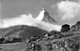 Zermatt Winkelmatten U. Matterhorn - Zermatt