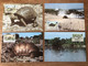 Outer Seychelles 1985, Turtles WWF, Complete Set On 4 Cards - Seychellen (1976-...)