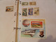 Delcampe - . 154.  LARGE COLLECTION. MAURITANIA. MAURITANIE . USED.  START. DEPART 1€ - Verzamelingen (in Albums)