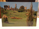 Cartolina Volterra Prov Pisa Citta Etrusca Parco Archeologico Enrico Fiumi - Pisa