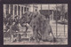CPA éléphant Dresseur Cirque Circus Circulé Zoo De La Haye. L'éléphant Est Betsy - Elefanten