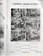 Delcampe - Braga Figueira Da Foz Porto Castro Laboreiro Caminha Guarda Espinho Guimarães Vizela Ermesinde Ilustração Católica 1915 - Revistas & Periódicos