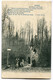CPA - Carte Postale - Belgique - Roisin - Au Caillou Qui Bique - 1909 (DG15059) - Honnelles