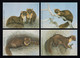 IRELAND 1992 Endangered Species / Pine Martin: Set Of 4 Postcards MINT/UNUSED - Postal Stationery