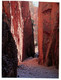 (Y 16) Australia - NT - Central Australia (2 Postcards) - The Red Centre