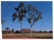 (Y 16) Australia - NT - Central Australia (2 Postcards) - The Red Centre