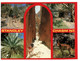 (Y 16) Australia - NT - Central Australia (2 Postcards) - The Red Centre