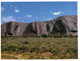 (Y 16) Australia - NT - Central Australia (2 Postcards) - The Red Centre