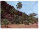 (Y 16) Australia - NT - Central Australia (2 Postcards) - The Red Centre