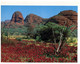 (Y 16) Australia - NT - Central Australia (2 Postcards) - The Red Centre