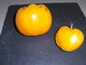 20 Graines De Tomate COEUR DE BOEUF ORANGE( BIO) - Andere & Zonder Classificatie