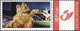 DUOSTAMP** / MY STAMP** - Garfield - Garfield The Movie - Chat / Kat / Katze / Cat - Philabédés (comics)