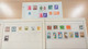 Delcampe - Lot N° TH 1206 MONDE Un Bon, Lot De Timbres Neufs X - Collezioni (in Album)