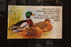 Ungarn; Markenheft Enten, 1988; Mit 2 MH-Blättern Und Kochrezepten - Booklets