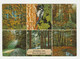 Ansichtkaart-postcard Groeten Van Recreatiecentrum Bos En Strand Horst (NL) - Horst