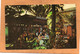 Frederiksted U.S. Virgin Islands Old Postcard - Virgin Islands, US