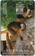 Madagascar - Lemurs Of Madagascar (STELMAD S.A.) - Chip SC7, 25Units, Used - Madagaskar