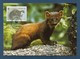 Irland 1992  Mi.Nr. 801 , Pine Marten (Der Edelmarder) - WWF Maximum Card - First Day 9.VII.1992 - Maximum Cards