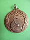 Médaille De  Sport Ancienne/Union Sportive De L'Enseignement Du Premier Degré/Course De Haies/Vers 1950-1960      SPO355 - Atletismo