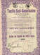 Action De Capital De 500 Frcs - La Textile Sud-Américaine - La Textil Sud-Americana - Texsudam - Renaix 1928. - Textile