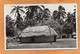 Tonga Old Postcard - Tonga