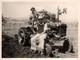 Tracteur Ancien De Marque FARMALL * Tractor * Thème Agricole Agriculture * Madagascar * Photo Ancienne Années 50 - Trattori