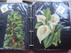 Delcampe - SCRAPS_MAP27 COLLECTION Anno 1880 à 1900 Litho Prints (count Yourself ) Big FRUIT & Flowers Fleurs Bloemen - Bloemen