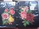 Delcampe - SCRAPS_MAP27 COLLECTION Anno 1880 à 1900 Litho Prints (count Yourself ) Big FRUIT & Flowers Fleurs Bloemen - Bloemen