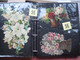 Delcampe - SCRAPS_MAP27 COLLECTION Anno 1880 à 1900 Litho Prints (count Yourself ) Big FRUIT & Flowers Fleurs Bloemen - Bloemen