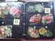 Delcampe - SCRAPS_MAP27 COLLECTION Anno 1880 à 1900 Litho Prints (count Yourself ) Big FRUIT & Flowers Fleurs Bloemen - Bloemen