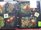 Delcampe - SCRAPS_MAP27 COLLECTION Anno 1880 à 1900 Litho Prints (count Yourself ) Big FRUIT & Flowers Fleurs Bloemen - Bloemen