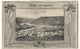 CPA , Allemagne , N° 11134, Bingen Und Umgeburg ,Bingen Am Rhein , Ed. G. Thien , - Bingen