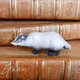 Ancienne Figurine Allemande Animal Blaireau Biscuit Miniature De Poupée Sujet Animal - Animaux