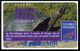 ECUADOR : BSP105A 100 GALAPAGOS Turtle   (white Frame) USED - Equateur