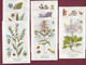 121220 -  4 Séries 32 Cpa Emballages D'origine - Planches Botanique Ets FUMOUZE Pharmacie PARIS Xe Plante Médecine - Medicinal Plants