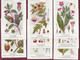 121220 -  4 Séries 32 Cpa Emballages D'origine - Planches Botanique Ets FUMOUZE Pharmacie PARIS Xe Plante Médecine - Medicinal Plants