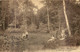 91 - BRUNOY - Au Bord De La Mare Aux Nénuphars, En Forêt De Sénart. Les Hommes Ramassent Des Fleurs Les Femmes Regardent - Brunoy