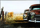 ►  Roadside - Amérique Du Nord  .  Dead Vintage Car Cimetary -  Couleur Du Monde    - Dim 16.5 X 11.5 Cm - Rutas Americanas