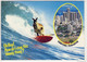 RED KANGAROO (Macropus Rufus) -  Enjoys Surfers Paradise On The Cold Coast , Nice Stamp - Gold Coast