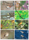 JAPON - SERIE COMPLETE NUMEROTEE De 16 Cartes OISEAUX   OISEAU  - LOT COMPLETE SET 16 JAPAN Cards BIRD BIRDS - Passereaux