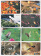 JAPON - SERIE COMPLETE NUMEROTEE De 16 Cartes OISEAUX   OISEAU  - LOT COMPLETE SET 16 JAPAN Cards BIRD BIRDS - Pájaros Cantores (Passeri)