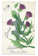 MEURTHE ET MOSELLE 54 GUERRE 14 18 BOIS LE PRETRE 1918 SOUVENIR CARTE FANTAISIE FLEURS  CP MILITAIRE - Autres & Non Classés