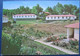 ISRAEL SHANA TOVA NEW YEAR KIBBUTZ KFAR MENACHEM PALPHOT 7110 GARDEN JUIF JEWISH POSTCARD CARTOLINA ANSICHTSKARTE - New Year