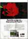 Rustica_N°170_ 1er Avril 1973_Dossier Greffes _à Découper : Les Fleurs D'été - Jardinage