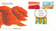 Delcampe - AUSTRALIA - SMALL COLLECTION FDC Between 1976-1989 /G111 - FDC